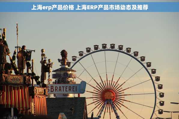 上海erp产品价格 上海ERP产品市场动态及推荐