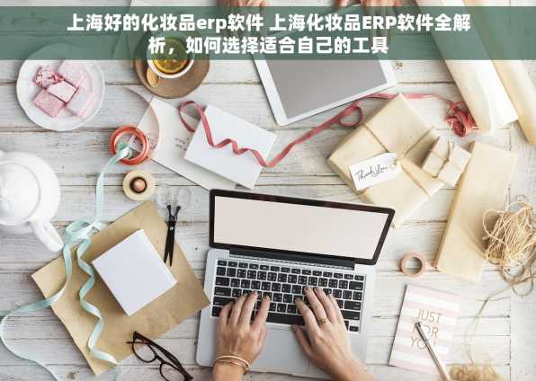 上海好的化妆品erp软件 上海化妆品ERP软件全解析，如何选择适合自己的工具