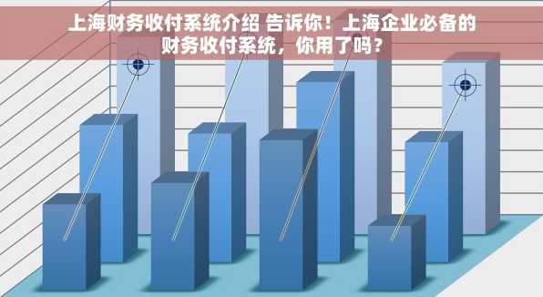 上海财务收付系统介绍 告诉你！上海企业必备的财务收付系统，你用了吗？