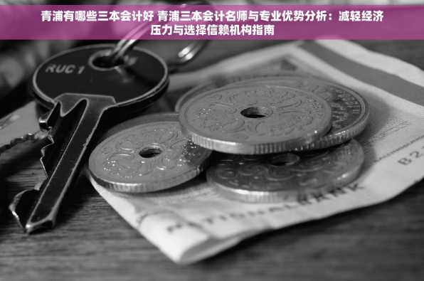 青浦有哪些三本会计好 青浦三本会计名师与专业优势分析：减轻经济压力与选择信赖机构指南