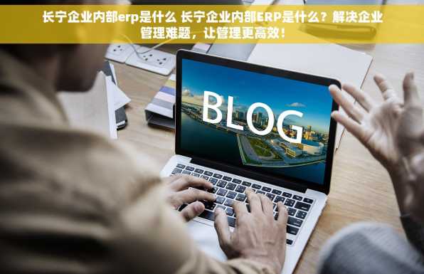 长宁企业内部erp是什么 长宁企业内部ERP是什么？解决企业管理难题，让管理更高效！