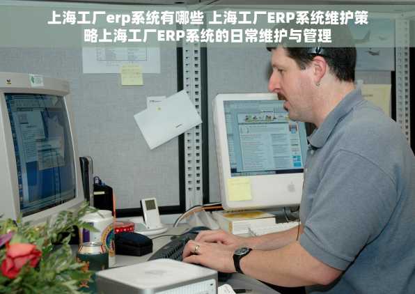 上海工厂erp系统有哪些 上海工厂ERP系统维护策略上海工厂ERP系统的日常维护与管理
