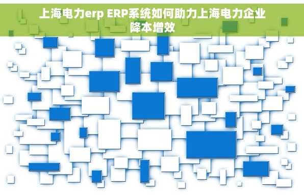 上海电力erp ERP系统如何助力上海电力企业降本增效