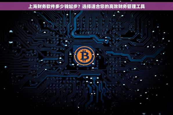 上海财务软件多少钱起步？选择适合您的高效财务管理工具