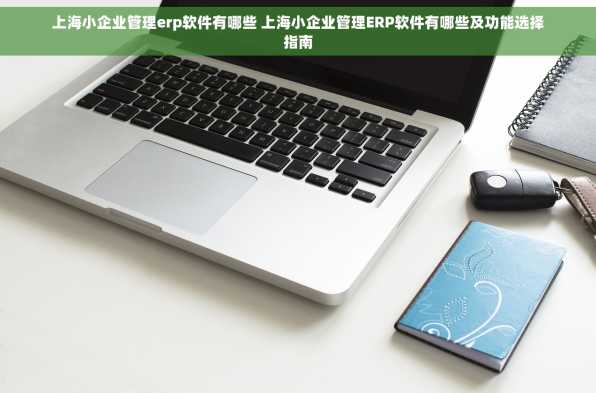 上海小企业管理erp软件有哪些 上海小企业管理ERP软件有哪些及功能选择指南