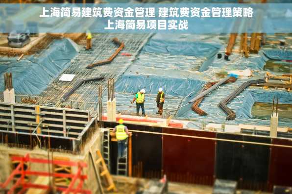 上海简易建筑费资金管理 建筑费资金管理策略上海简易项目实战