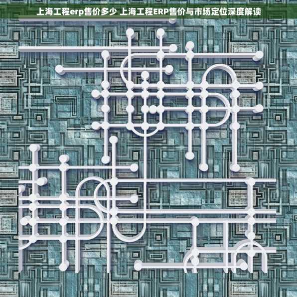 上海工程erp售价多少 上海工程ERP售价与市场定位深度解读