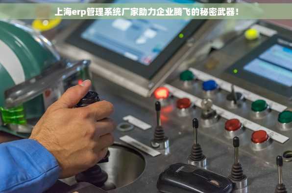 上海erp管理系统厂家助力企业腾飞的秘密武器！