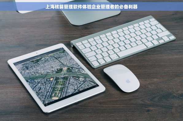 上海核算管理软件体验企业管理者的必备利器