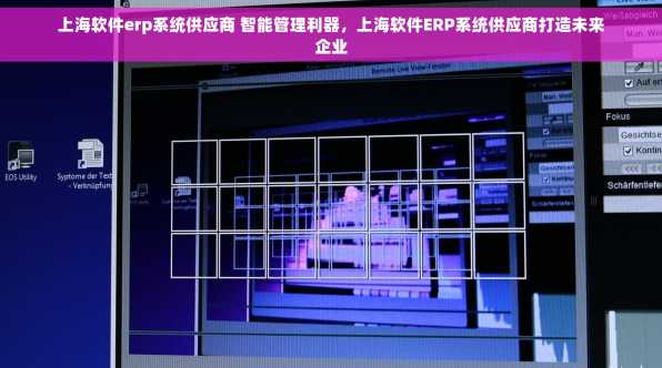 上海软件erp系统供应商 智能管理利器，上海软件ERP系统供应商打造未来企业