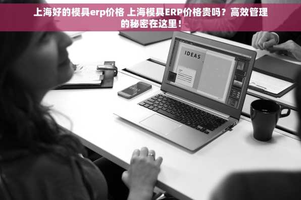 上海好的模具erp价格 上海模具ERP价格贵吗？高效管理的秘密在这里！