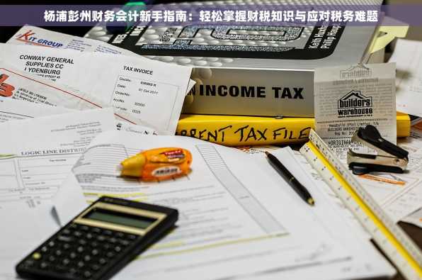 杨浦彭州财务会计新手指南：轻松掌握财税知识与应对税务难题