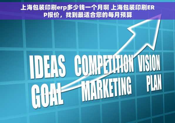 上海包装印刷erp多少钱一个月啊 上海包装印刷ERP报价，找到最适合您的每月预算