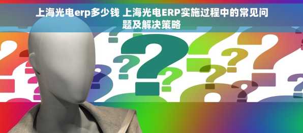 上海光电erp多少钱 上海光电ERP实施过程中的常见问题及解决策略
