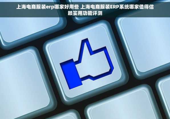 上海电商服装erp哪家好用些 上海电商服装ERP系统哪家值得信赖实用功能评测