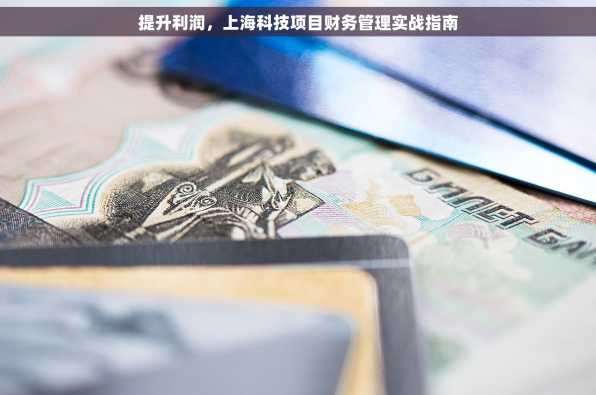 提升利润，上海科技项目财务管理实战指南