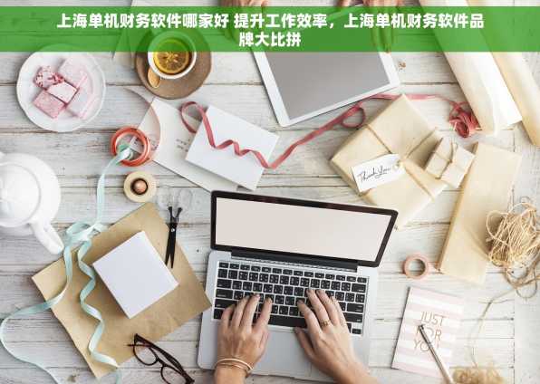 上海单机财务软件哪家好 提升工作效率，上海单机财务软件品牌大比拼