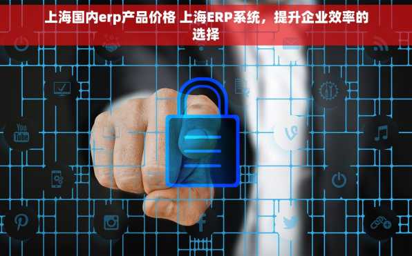 上海国内erp产品价格 上海ERP系统，提升企业效率的选择