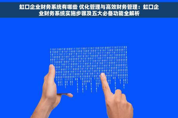 虹口企业财务系统有哪些 优化管理与高效财务管理：虹口企业财务系统实施步骤及五大必备功能全解析