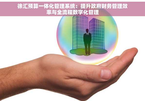 徐汇预算一体化管理系统：提升政府财务管理效率与全流程数字化管理