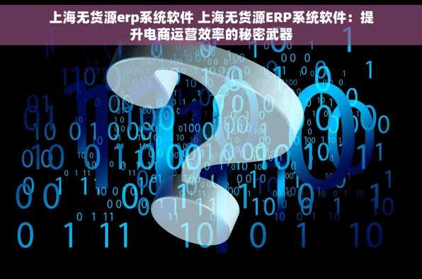 上海无货源erp系统软件 上海无货源ERP系统软件：提升电商运营效率的秘密武器