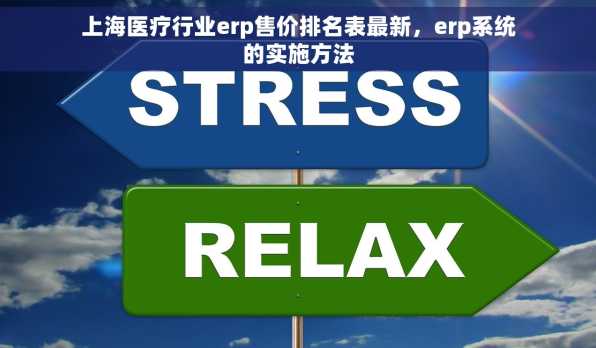 上海医疗行业erp售价排名表最新，erp系统的实施方法