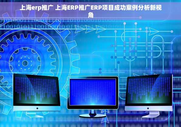 上海erp推广 上海ERP推广ERP项目成功案例分析新视角