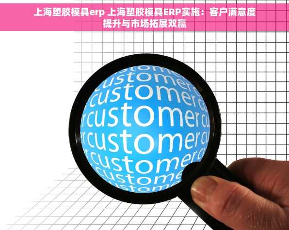 上海塑胶模具erp 上海塑胶模具ERP实施：客户满意度提升与市场拓展双赢