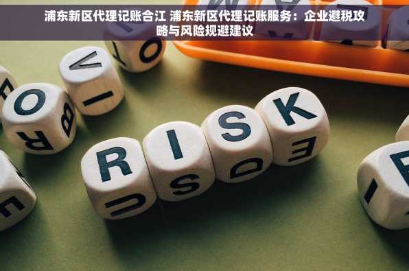 浦东新区代理记账合江 浦东新区代理记账服务：企业避税攻略与风险规避建议
