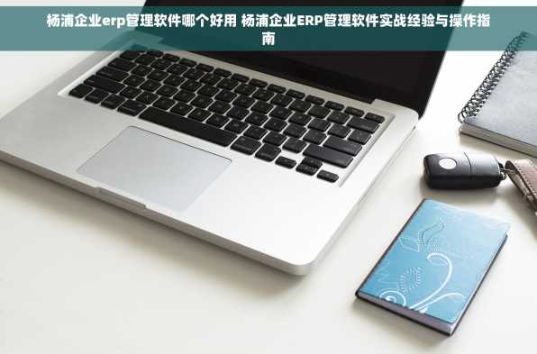 杨浦企业erp管理软件哪个好用 杨浦企业ERP管理软件实战经验与操作指南