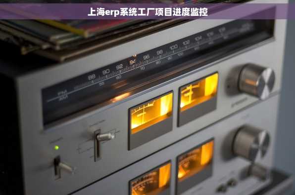 上海erp系统工厂项目进度监控