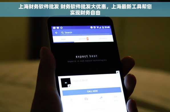 上海财务软件批发 财务软件批发大优惠，上海最新工具帮您实现财务自由