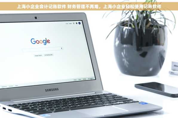 上海小企业会计记账软件 财务管理不再难，上海小企业轻松使用记账软件