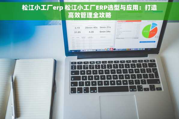 松江小工厂erp 松江小工厂ERP选型与应用：打造高效管理全攻略