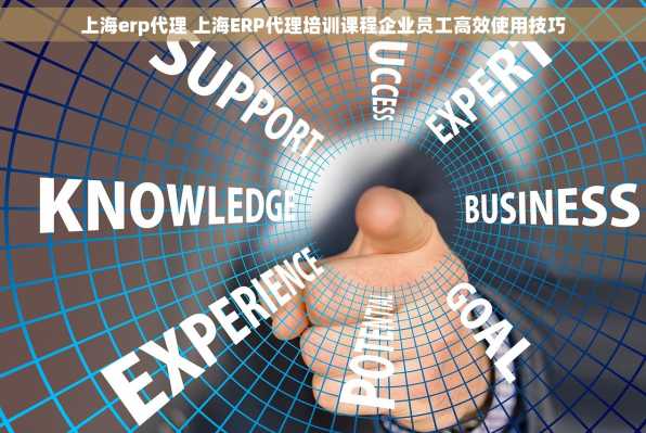 上海erp代理 上海ERP代理培训课程企业员工高效使用技巧