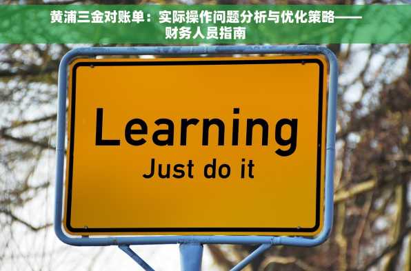 黄浦三金对账单：实际操作问题分析与优化策略——财务人员指南