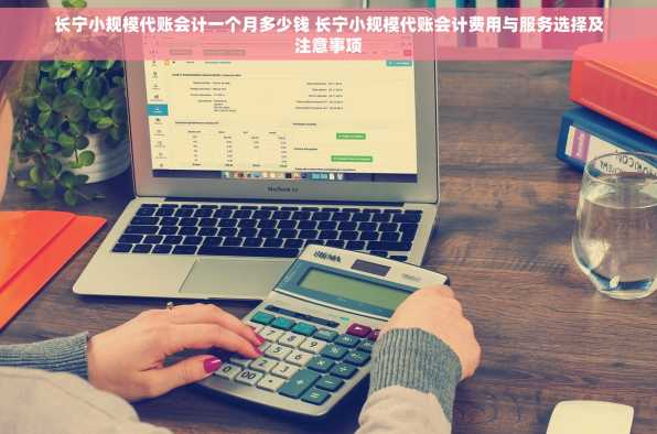 长宁小规模代账会计一个月多少钱 长宁小规模代账会计费用与服务选择及注意事项