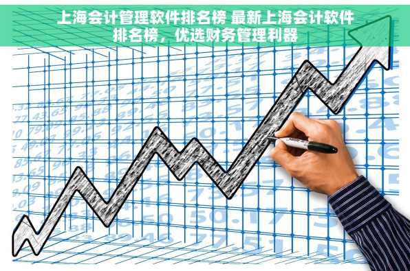 上海会计管理软件排名榜 最新上海会计软件排名榜，优选财务管理利器