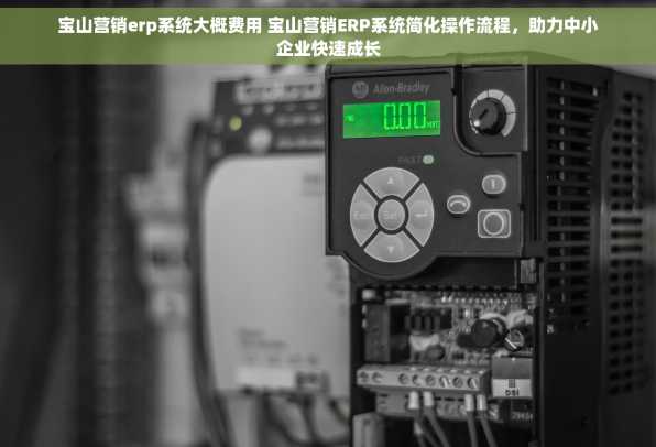 宝山营销erp系统大概费用 宝山营销ERP系统简化操作流程，助力中小企业快速成长
