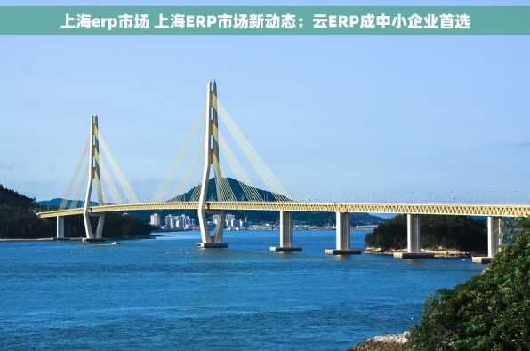 上海erp市场 上海ERP市场新动态：云ERP成中小企业首选