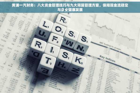 黄浦一汽财务：八大资金管理技巧与九大预算管理方案，保障现金流稳定与企业健康发展