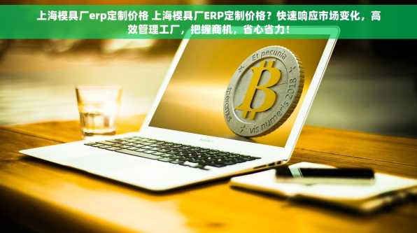 上海模具厂erp定制价格 上海模具厂ERP定制价格？快速响应市场变化，高效管理工厂，把握商机，省心省力！