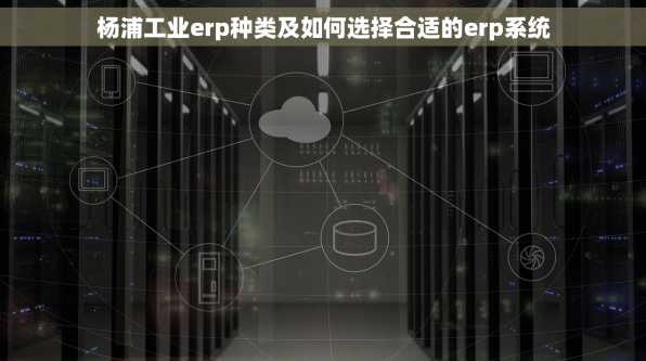 杨浦工业erp种类及如何选择合适的erp系统