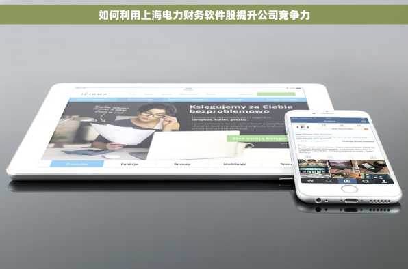 如何利用上海电力财务软件股提升公司竞争力