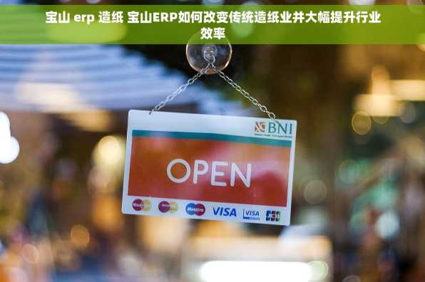 宝山 erp 造纸 宝山ERP如何改变传统造纸业并大幅提升行业效率