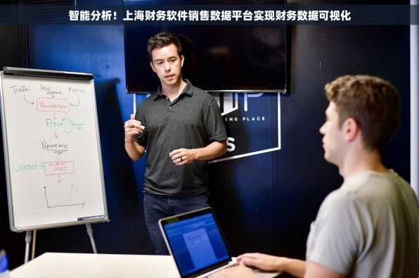 智能分析！上海财务软件销售数据平台实现财务数据可视化