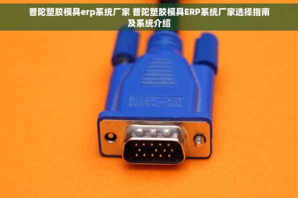 普陀塑胶模具erp系统厂家 普陀塑胶模具ERP系统厂家选择指南及系统介绍