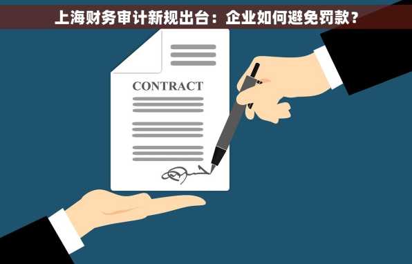 上海财务审计新规出台：企业如何避免罚款？