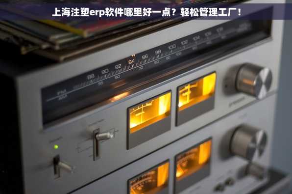 上海注塑erp软件哪里好一点？轻松管理工厂！
