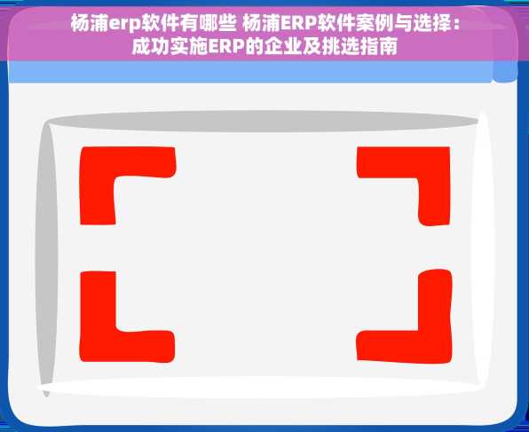 杨浦erp软件有哪些 杨浦ERP软件案例与选择：成功实施ERP的企业及挑选指南